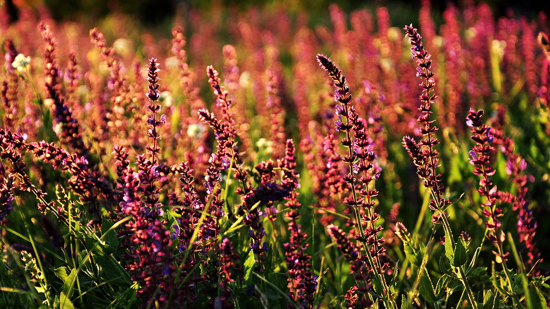 国足体能衰减节奏分布热图分析，记者_国足体能状况不太理想